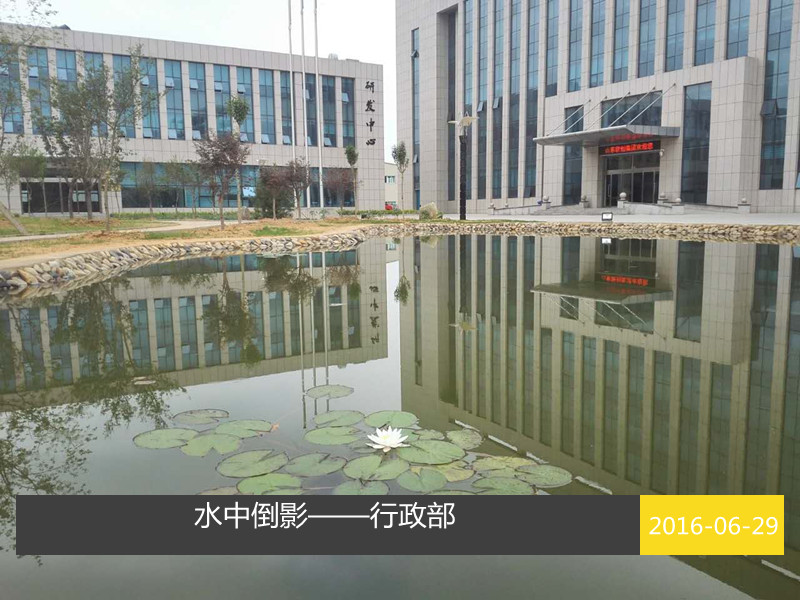 水中倒影-行政優(yōu)選_副本.jpg